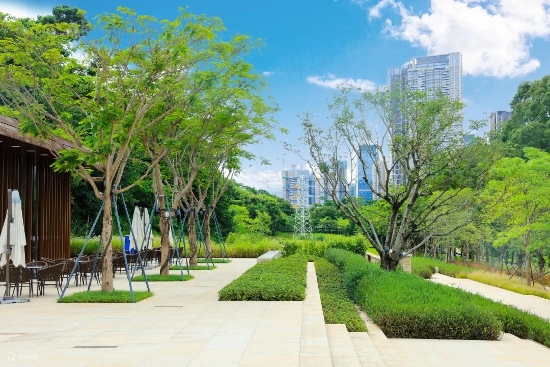 【klook独家】【亲子时光】深圳博林天瑞喜来登住宿套餐（靠近深圳大学城）